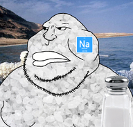 beard element fat salt sea series:elemental_mutts sodium variant:meximutt // 888x849 // 619.0KB