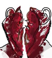bisected blood ear gore no_face soyjak stubble variant:impish_soyak_ears // 597x666 // 274.9KB