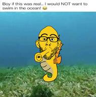 animal full_body glasses lips meme pursed_lips sea seahorse soyjak stubble tail variant:nojak yellow_skin // 1080x1092 // 534.1KB