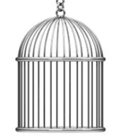 animated bird blue cage meta:tagme spinning twitter variant:soyak // 351x351 // 67.8KB