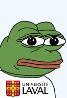 amphibian bald blue_background canada canadian closed_mouth clothes college education french_canadian french_text frog green_skin laval_university lips looking_at_you nas nas:pepe pepe_the_frog quebec quebecois school tshirt university // 1344x1973 // 123.3KB
