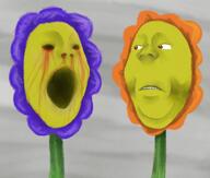 2soyjaks artist:cannedpocket blood blood_from_eyes brown_eyes concerned creepy flower frown meta:tagme no_eyebrows no_eyes no_glasses no_stubble no_teeth nosebleed open_mouth plant shading soyjak subvariant:wholesome_soyjak teeth variant:gapejak yellow_skin // 1014x860 // 1.0MB