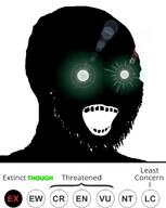 extinct glowing_eyes open_mouth shadow silhouette text thougher // 493x617 // 102.7KB