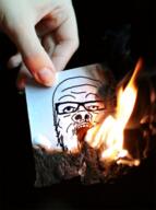 animated fire glasses hand irl open_mouth soyjak stubble variant:a24_slowburn_soyjak // 372x500 // 380.0KB