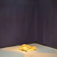 animated animation badass ext=gif fighting footage full_body high_effort high_quality high_res internet irl meme scene star variant:cobson video wars // 320x240 // 6.3MB