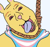 animal bloodshot_eyes brown_eyebrows hanging open_mouth r_196 rabbit reddit rope soyjak spronku_kronkus suicide tongue tranny variant:bernd yellow_skin yellow_teeth // 764x719 // 29.0KB