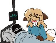 averi balaclava bed blanket crying dying eyes_closed fiddleafox furry furry_female glasses heart_monitor hospital hospital_bed mask meta:namefags nurse sad series:warrior-z_and_averi sleeping tragic variant:chudjak warrior-z_(user) // 968x739 // 69.8KB