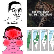 angry animal bloodshot_eyes closed_mouth crying double_standarts glasses history inflation_(economy) israel map meme palestine quote smug so_true soyjak text variant:chudjak // 720x720 // 219.4KB