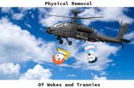 ah-64_apache arthoe blue_hair cat_ear glasses helicopter libertarian open_mouth physical_removal pinochet soyjak stubble text tranny trans trans_rights variant:soyak woke // 1632x1080 // 1.3MB