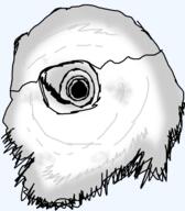 hurricane_milton variant:unknown // 2318x2657 // 521.4KB