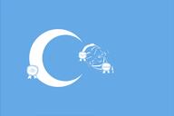 asian churka flag jartycuck meta:tagme series:jartyflag subvariant:jartycuck uyghur uyghur_genocide variant:chudjak // 2560x1707 // 271.0KB