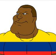 colombia colombian flag:colombia subvariant:mexiaryan variant:meximutt // 1098x1080 // 188.2KB