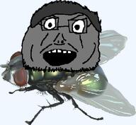 bug fly gigachad gigafly hair nas:gigachad no_body transparent transparent_background variant:blobjak // 396x365 // 73.1KB