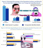 faggot hanging pink_skin statistics text tranny troon variant:bernd variant:chudjak variant:feraljak white_nationalism white_people white_skin // 1680x1872 // 803.8KB