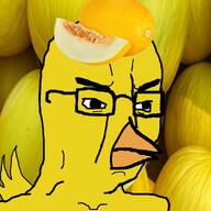 beak bird canary canary_melon food fruit glasses melon series:operation_fruitjak variant:chudjak yellow_skin // 768x768 // 64.7KB