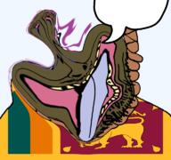 ack brown_skin brown_troonjak flag:sri_lanka nigger series:coonfags slopjak speech_bubble_empty suicide tongue tranny variant:bernd // 768x719 // 60.5KB