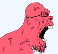 angry balding glasses open_mouth red_skin screaming soyjak stubble variant:apeshitson vein // 1101x1027 // 29.2KB