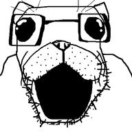 beard big_eyes cool cute dog funny glasses open_mouth pug soyjak variant:pugjak // 480x480 // 23.6KB