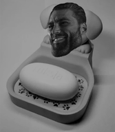 beard dog dog_ear ear grayscale irl irl_background looking_to_the_left nas:gigachad paw smile soap soap_holder