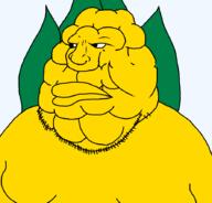 corn corncob food plant transparent_background variant:meximutt // 888x849 // 21.8KB