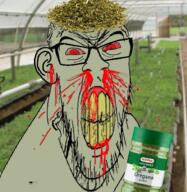 angry blood bloodshot_eyes clenched_teeth clothes cracked_teeth ear glasses green_skin hat herb irl_background mustache nosebleed oregano plant red_eyes soyjak stubble subvariant:feralrage variant:feraljak vein yellow_teeth // 894x919 // 1.7MB