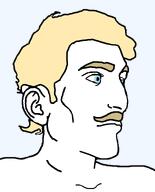 a10_eyes aryan blond blue_eyes buff ear hair moustache not_a_fucking_soyjak series:aryan_soyjaks subvariant:pajeetaryan template variant:pajeetjak white_skin // 634x783 // 13.4KB