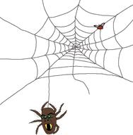 4_eyes big_lips brown_skin bug cobweb fangs green_eyes jartyfly leg open_mouth spider spider_web subvariant:jartycuck variant:chudjak variant:cobson web wing // 1272x1300 // 339.8KB