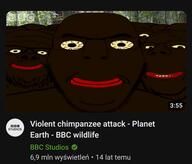 black_skin bloodshot_eyes british_broadcasting_corporation closed_mouth crazed glasses irl_background logo looking_at_you multiple_soyjaks mustache plant polish_text red_lips smile stubble subvariant:cobson_front subvariant:wholesome_soyjak text thumbnail tree variant:a24_slowburn_soyjak variant:bernd variant:cobson variant:gapejak yellow_sclera yellow_teeth youtube youtube_jakkify // 574x491 // 162.7KB