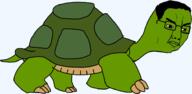 animal closed_mouth donatello frown full_body green_skin hair koopa leonardo michelangelo raphael series:animaljaks shell soyjak tortoise turtle variant:chudjak // 939x460 // 31.8KB