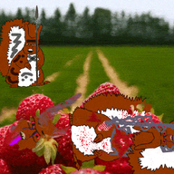 angry animal animated blood bloodshot_eyes crying full_body glasses irl_background multiple_soyjaks murder open_mouth soyjak text trend:squirreljakking variant:feraljak // 900x600 // 3.2MB