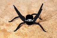 balaclava black_clothing bug glasses islam mask meta:namefags meta:self_insert muslims pose spider subvariant:chudjak_front threat trace_test variant:chudjak warrior-z_(user) // 1620x1080 // 2.6MB