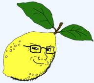 food foodjak fruit glasses leaf lemon series:fruiterz! smile smug soyjak stubble variant:soyak yellow_skin // 1607x1421 // 41.2KB