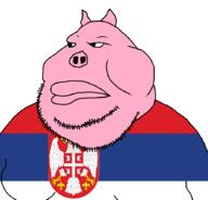 country meta:tagme pig pigskin pink_skin serbia slavic stubble variant:meximutt // 888x849 // 51.7KB