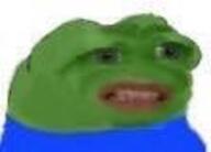 amphibian clothes disgusted frog green_skin meta:Not_OC nas:pepe pepe_the_frog subnas:apu // 111x80 // 2.9KB
