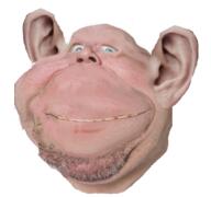 bernd_schmidt closed_mouth ear realistic smile soyjak stubble variant:impish_soyak_ears // 767x719 // 778.2KB