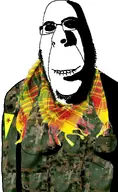beard camouflage glasses kurd kurdaryan kurdish kurdish_turkish_conflict kurdistan kvrd kvrdnvke kvrdoaryan scarf subvariant:hornyson syria syrian_civil_war variant:cobson variant:soyak ypg // 948x1547 // 314.3KB