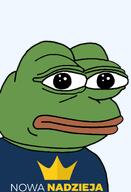 amphibian bald closed_mouth clothes europe frog green_skin lips looking_at_you nas nas:pepe pepe pepe_the_frog poland polish politics transparent_background tshirt // 1344x1973 // 89.2KB