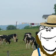 amish beard clothes cow ear hat irl_background pennsylvania smile soyjak straw_hat variant:impish_soyak_ears // 720x540 // 402.0KB