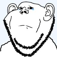 crying meta:tagme sad variant:impish_soyak_ears // 1025x1025 // 26.9KB