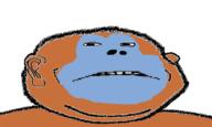 animal bleppsama blue ear frown hair monkey orange soyjak stubble subvariant:massjak subvariant:wholesome_soyjak variant:gapejak // 486x292 // 42.0KB