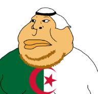algeria beard berber islam subvariant:arabmutt variant:meximutt // 888x849 // 27.9KB