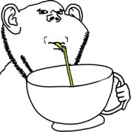 concerned cup drinking drinking_straw ear hand holding_object mug sip soyjak stubble subvariant:impdrink variant:impish_soyak_ears // 845x850 // 155.5KB
