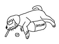 bottle dog glasses sleeping soy soylent stubble variant:soydog // 720x540 // 22.3KB