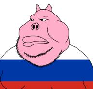 country meta:tagme pig pigskin pink_skin russia slavic stubble variant:meximutt // 888x849 // 11.5KB