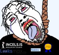 poltard award bloodshot_eyes crying dark_hair dead flag glasses hair hanging incel incels.is looksmax.org looksmaxxing mustache nabbv_(namefag) open_mouth rope soyjak stubble suicide tongue tranny variant:bernd yellow_teeth // 1295x1205 // 144.6KB
