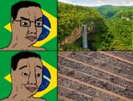 amazon angry brazil brown_skin closed_mouth country flag flag:brazil glasses hair smug variant:chudjak // 1000x763 // 1.1MB