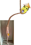 (you) ack angry antiswarthy_(namefag) asian bloodshot_eyes china crying distorted giraffe hanging long_neck noose open_mouth rice_hat skinny subvariant:giraffechink variant:chudjak yellow_skin // 727x1038 // 90.0KB