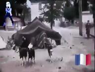 algeria france gangnam_style gun murder variant:cobson // 400x304, 79.5s // 3.2MB