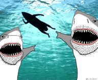 black_eyes black_sclera eyes glasses shark stubble teeth variant:pointjak variant:two_pointing_soyjaks water // 1070x874 // 932.3KB