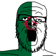algeria country flag flag:algeria glasses open_mouth soyjak star_(symbol) star_and_crescent stubble variant:a24_slowburn_soyjak // 454x491 // 10.5KB